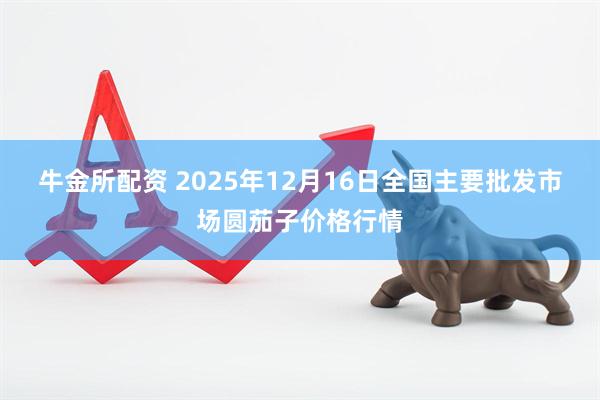牛金所配资 2025年12月16日全国主要批发市场圆茄子价格行情