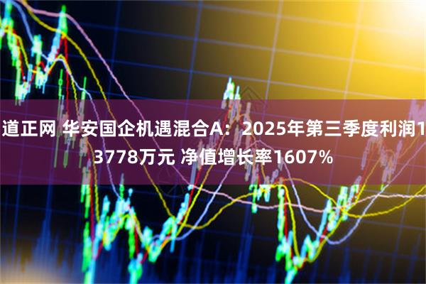 道正网 华安国企机遇混合A：2025年第三季度利润13778万元 净值增长率1607%
